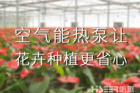 空气能热泵让花卉莳植更省心，优品率可达90%以上